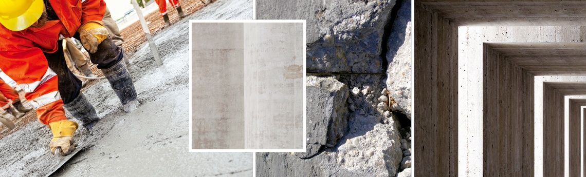 Vector Construction Canada